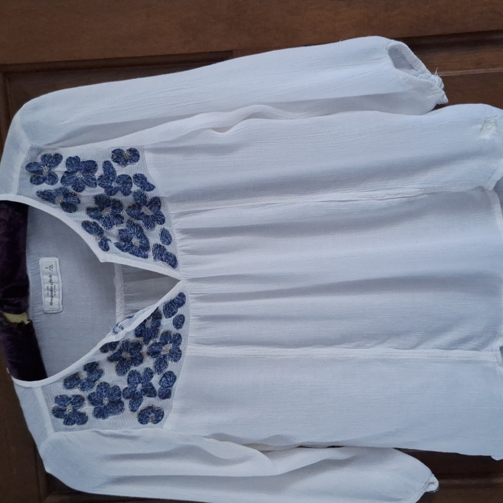 Abercrombie & Fitch Gauzy Embroidered Boho Top